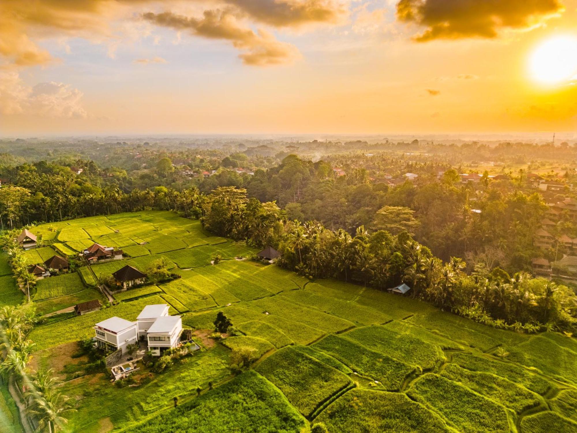 Maple Ridge Ubud Villas ภายนอก รูปภาพ