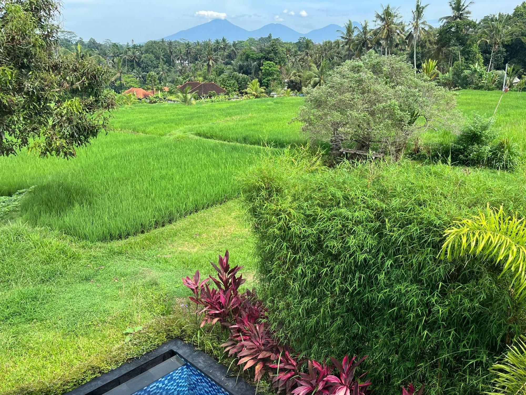 Maple Ridge Ubud Villas ภายนอก รูปภาพ