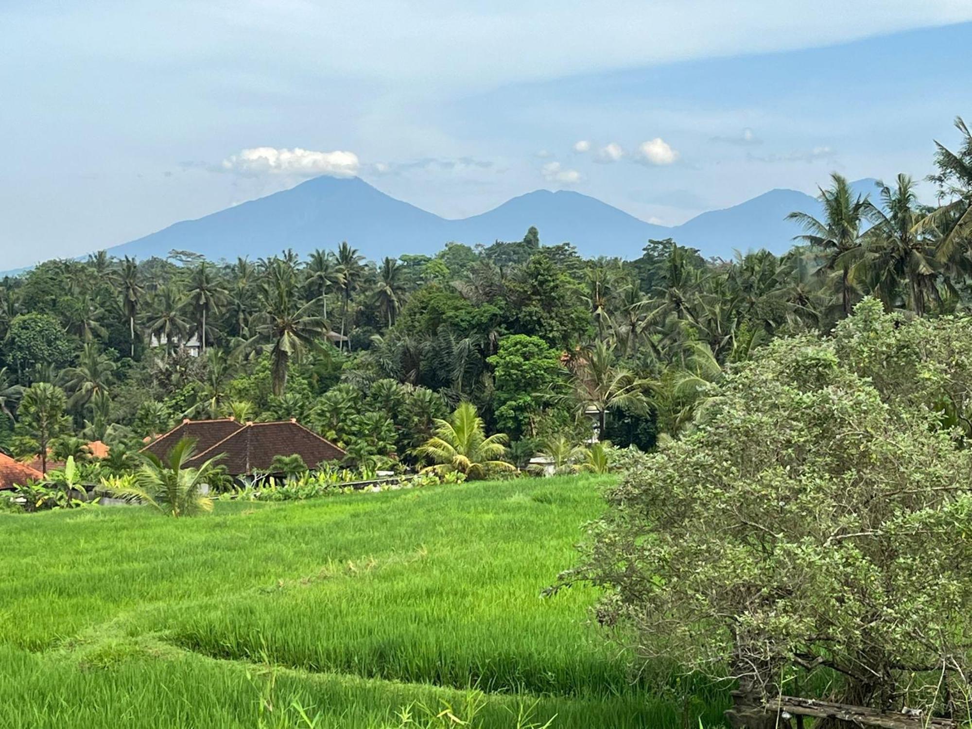 Maple Ridge Ubud Villas ภายนอก รูปภาพ